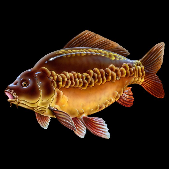 Carp City Backpack