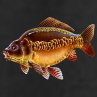 Carp Hat