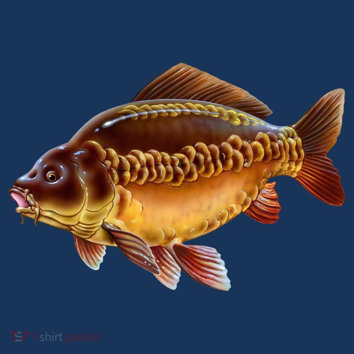 Carp Magnet