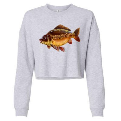 Carp Cropped Pullover Crew