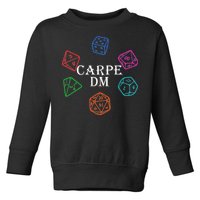 Carpe DM Funny Diem Parody Dice  Toddler Sweatshirt