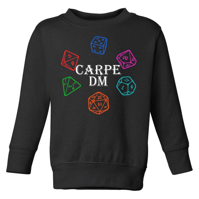 Carpe DM Funny Diem Parody Dice  Toddler Sweatshirt