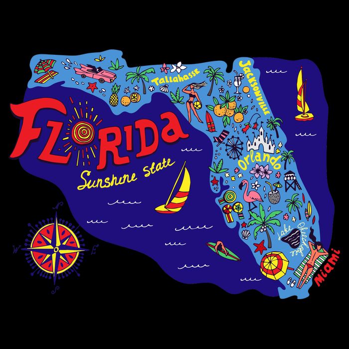Cartoon Map of Florida Wool Snapback Cap
