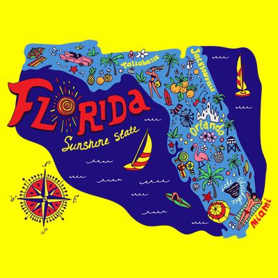 Cartoon Map of Florida T-Shirt