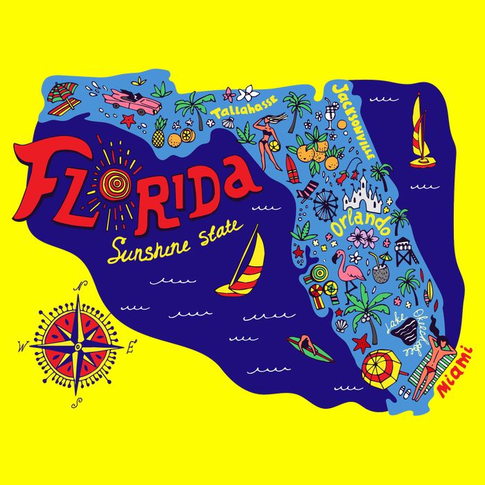 Cartoon Map of Florida T-Shirt