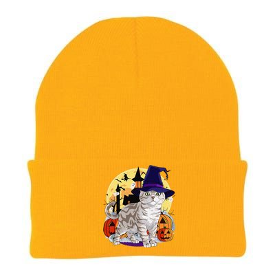 Cute American Shorthair Cat Halloween Witch Pumpkin Knit Cap Winter Beanie