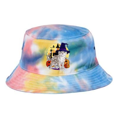 Cute American Shorthair Cat Halloween Witch Pumpkin Tie Dye Newport Bucket Hat