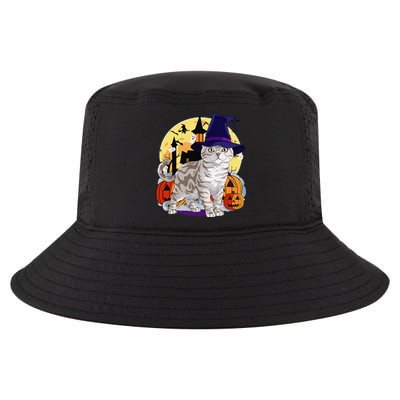 Cute American Shorthair Cat Halloween Witch Pumpkin Cool Comfort Performance Bucket Hat