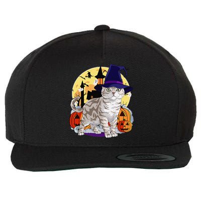 Cute American Shorthair Cat Halloween Witch Pumpkin Wool Snapback Cap