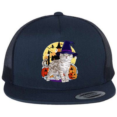 Cute American Shorthair Cat Halloween Witch Pumpkin Flat Bill Trucker Hat