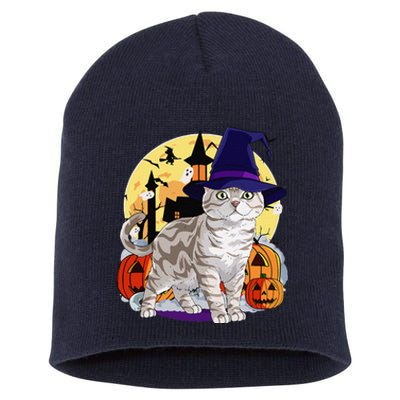 Cute American Shorthair Cat Halloween Witch Pumpkin Short Acrylic Beanie