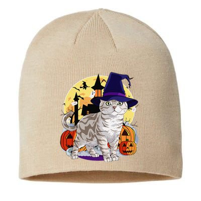 Cute American Shorthair Cat Halloween Witch Pumpkin Sustainable Beanie