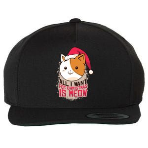 Cat A Santa Hat And All I Want For Christmas Is Meow Great Gift Wool Snapback Cap