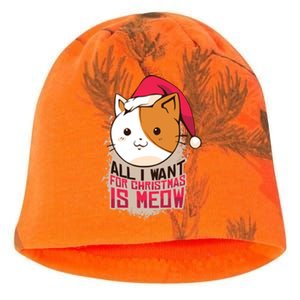 Cat A Santa Hat And All I Want For Christmas Is Meow Great Gift Kati - Camo Knit Beanie