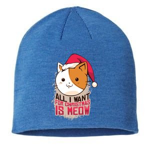 Cat A Santa Hat And All I Want For Christmas Is Meow Great Gift Sustainable Beanie