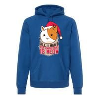 Cat A Santa Hat And All I Want For Christmas Is Meow Great Gift Premium Hoodie