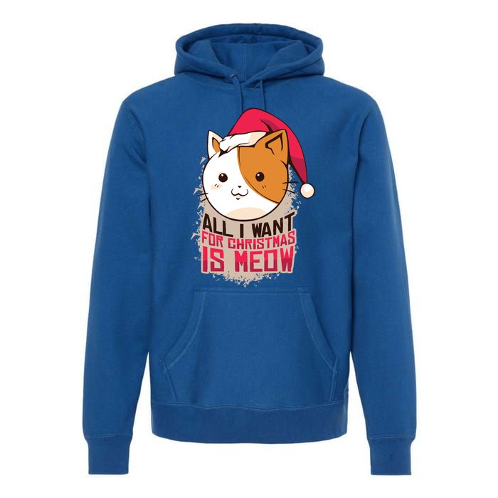 Cat A Santa Hat And All I Want For Christmas Is Meow Great Gift Premium Hoodie