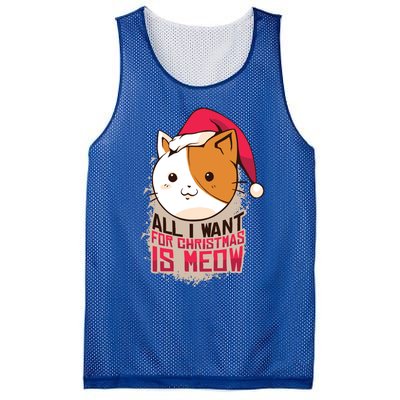 Cat A Santa Hat And All I Want For Christmas Is Meow Great Gift Mesh Reversible Basketball Jersey Tank