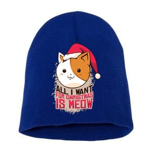 Cat A Santa Hat And All I Want For Christmas Is Meow Great Gift Short Acrylic Beanie