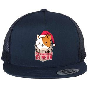 Cat A Santa Hat And All I Want For Christmas Is Meow Great Gift Flat Bill Trucker Hat