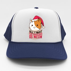 Cat A Santa Hat And All I Want For Christmas Is Meow Great Gift Trucker Hat