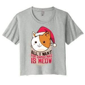 Cat A Santa Hat And All I Want For Christmas Is Meow Gift Women's Crop Top Tee