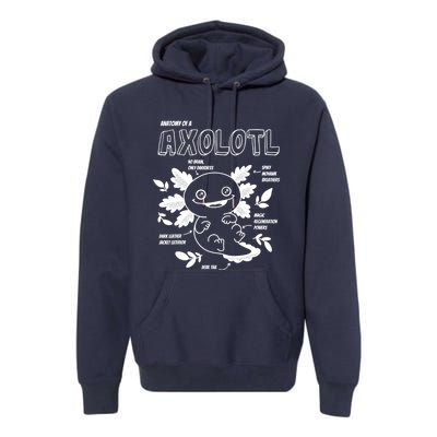 Cute Axolotl Shirt, Anatomy Of A Axolotl Funny Girls Boys Premium Hoodie