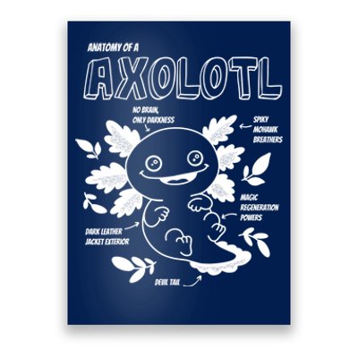 Cute Axolotl Shirt, Anatomy Of A Axolotl Funny Girls Boys Poster