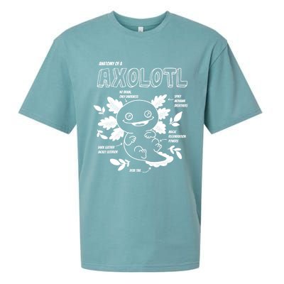 Cute Axolotl Shirt, Anatomy Of A Axolotl Funny Girls Boys Sueded Cloud Jersey T-Shirt