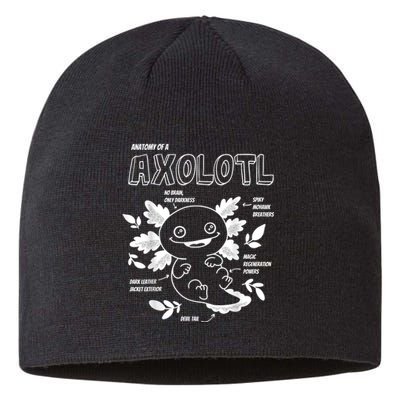 Cute Axolotl Shirt, Anatomy of a Axolotl Funny Girls Boys Sustainable Beanie