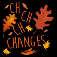 Changes Autumn Season 7-Panel Snapback Hat