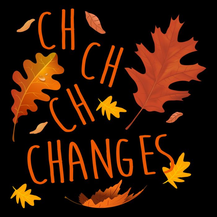 Changes Autumn Season 7-Panel Snapback Hat