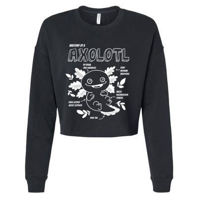 Cute Axolotl Shirt, Anatomy Of A Axolotl Funny Girls Boys Cropped Pullover Crew