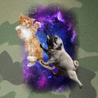 Cat And Pug In Space Legacy Tie Dye Trucker Hat