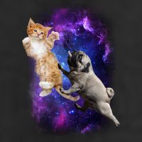 Cat And Pug In Space Garment-Dyed Fleece Hoodie