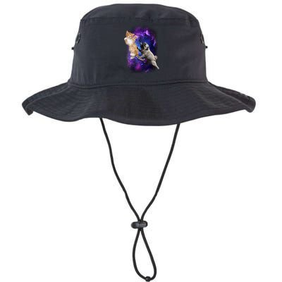 Cat And Pug In Space Bucket Hat