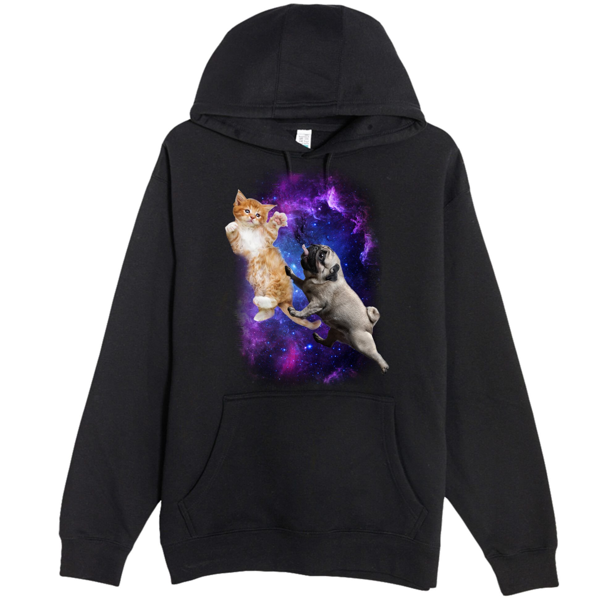 Cat And Pug In Space Premium Pullover Hoodie