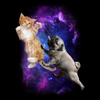 Cat And Pug In Space Poster