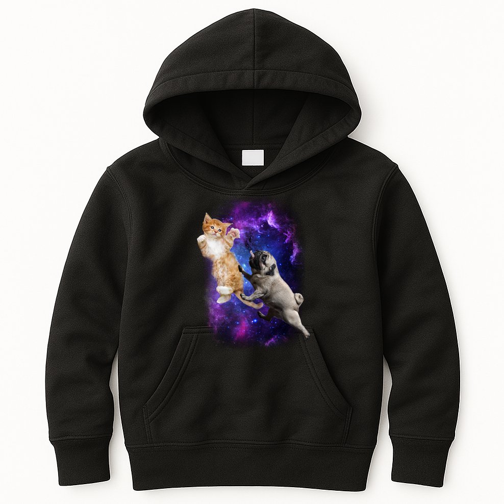 Cat And Pug In Space Kids Hoodie