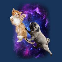 Cat And Pug In Space Infant Baby Jersey Bodysuit