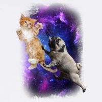 Cat And Pug In Space Garment-Dyed Sweatshirt