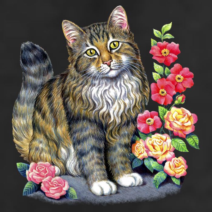 Cat and Roses Adult Drive Performance Visor