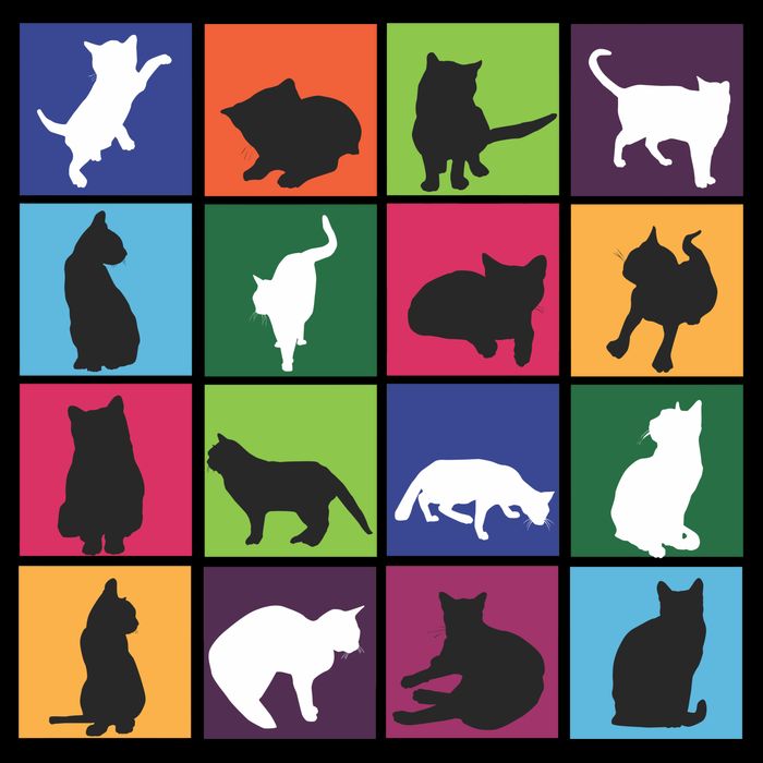 Cat Blocks Women's V-Neck T-Shirt