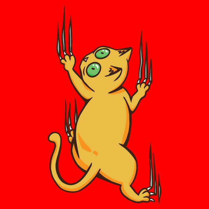 Cat Climbing Poster