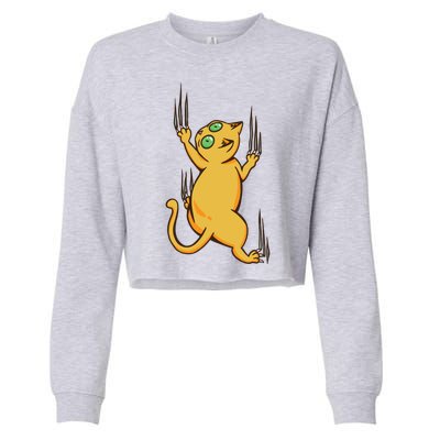 Cat Climbing Cropped Pullover Crew