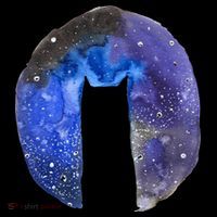 Cat Galaxy 16 in Basic Backpack