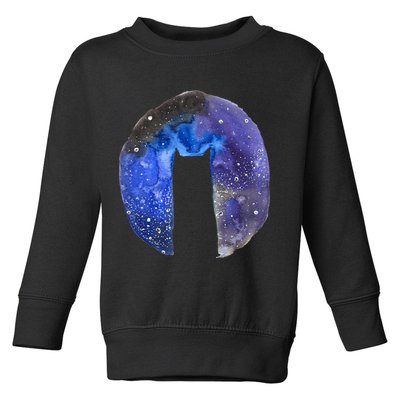 Cat Galaxy Toddler Sweatshirt