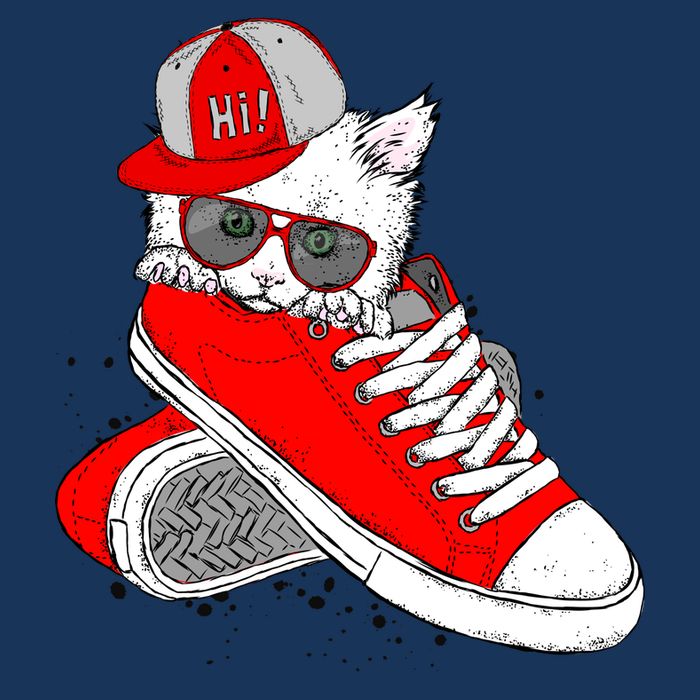Cat In Red Sneakers Poster