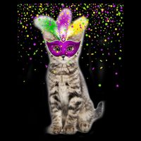 Cat Mardi Gras Mask and Beads 16 in Basic Backpack