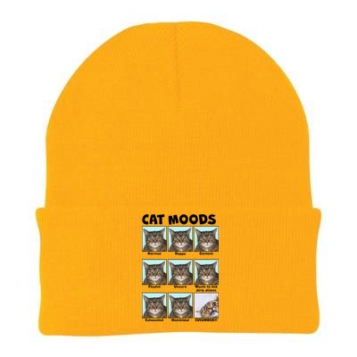 Cat Moods Funny Meme Knit Cap Winter Beanie